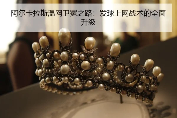a-er-ka-la-si-wen-wang-wei-mian-zhi-lu-fa-qiu-shang-wang-zhan-shu-de-quan-mian-sheng-ji-2-635.jpg