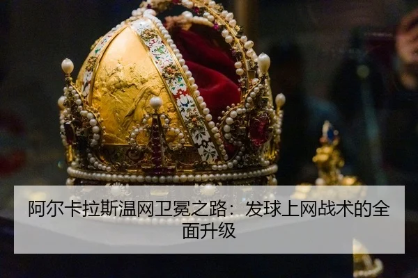 a-er-ka-la-si-wen-wang-wei-mian-zhi-lu-fa-qiu-shang-wang-zhan-shu-de-quan-mian-sheng-ji-3-958.jpg